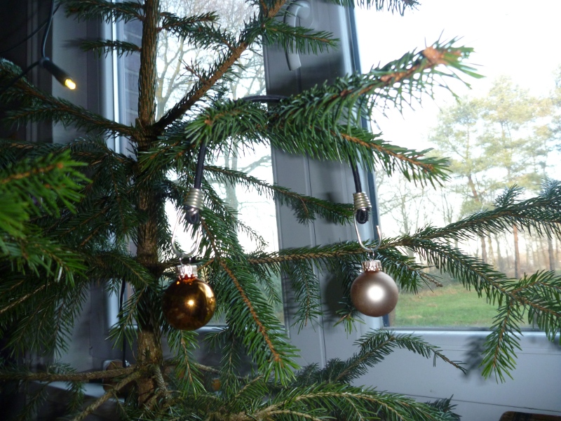 [Linked Image von monny.com]