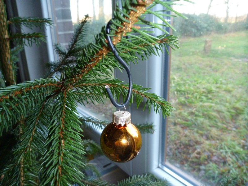 [Linked Image von monny.com]