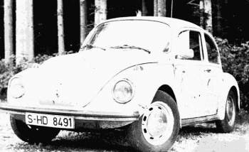 Mein bester K&auml;fer