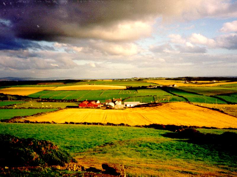 In der Nähe von Ballintoy