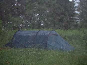 Nebel im Schwarzwald